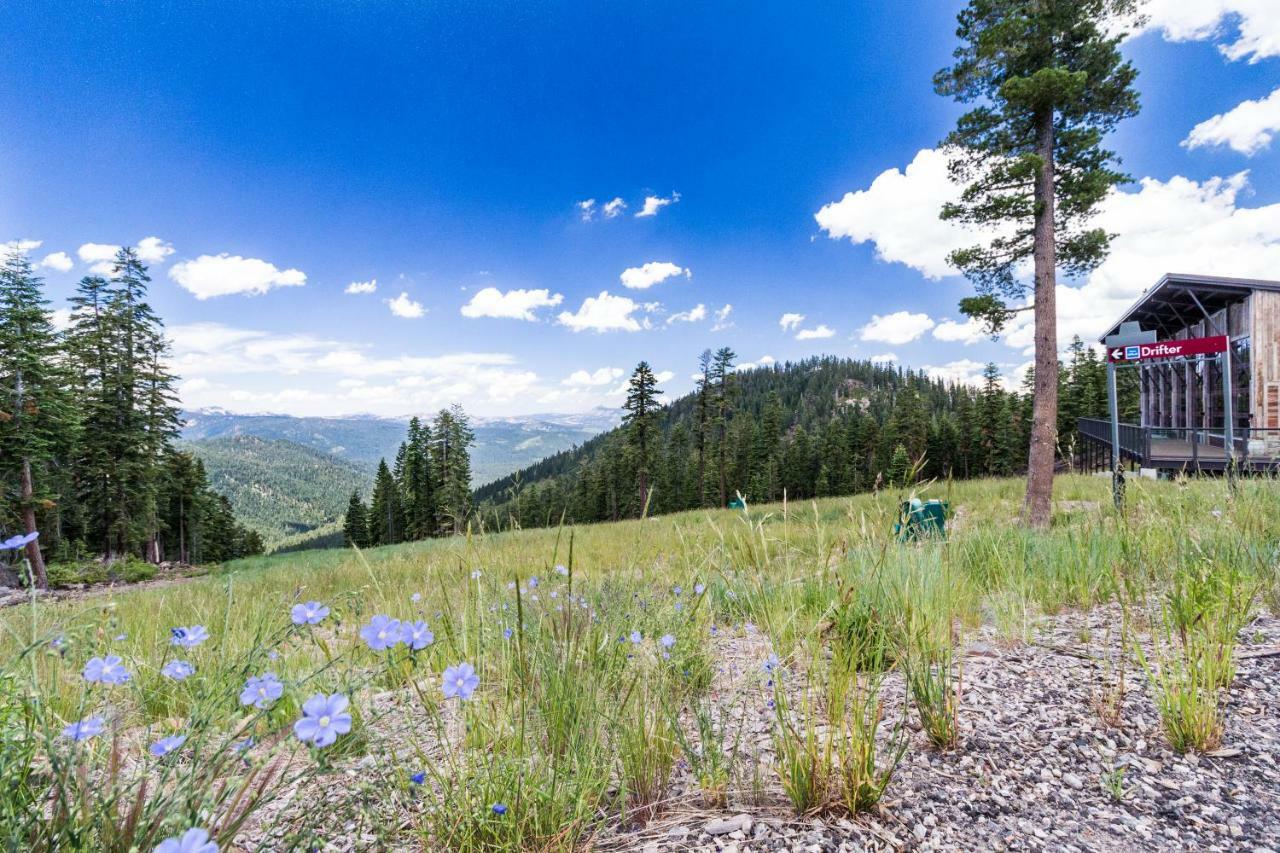Aspen Grove Studio At Northstar Truckee Zewnętrze zdjęcie